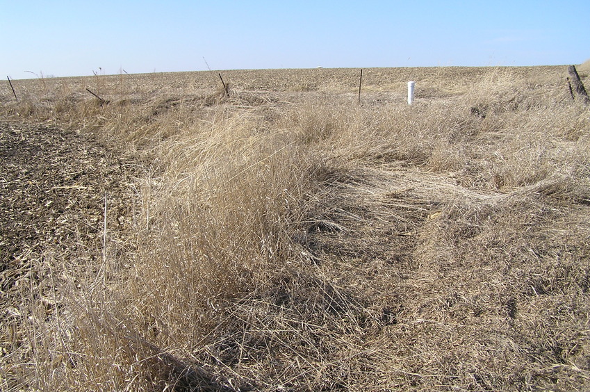 The site of 42 North 93 West, in the foreground, looking north-northwest.