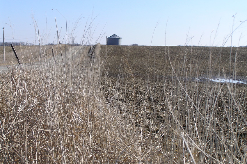 View to the south from the confluence.