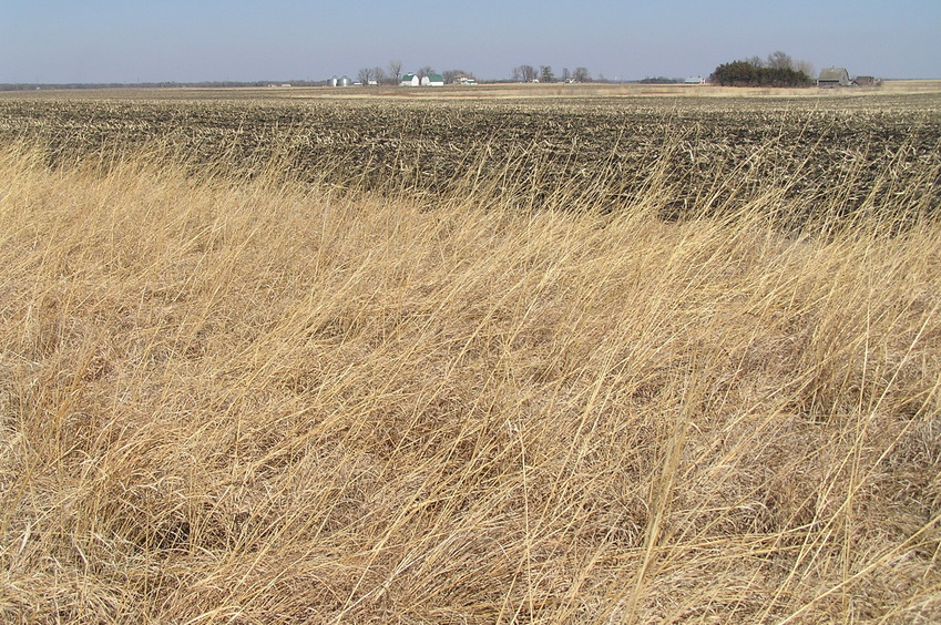 Site of 42 North 94 West, in the foreground, looking northeast.