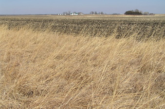 #1: Site of 42 North 94 West, in the foreground, looking northeast.