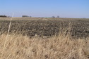 #6: View to the east from the confluence.