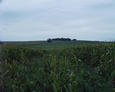 #3: looking south from a clearing near the confluence point