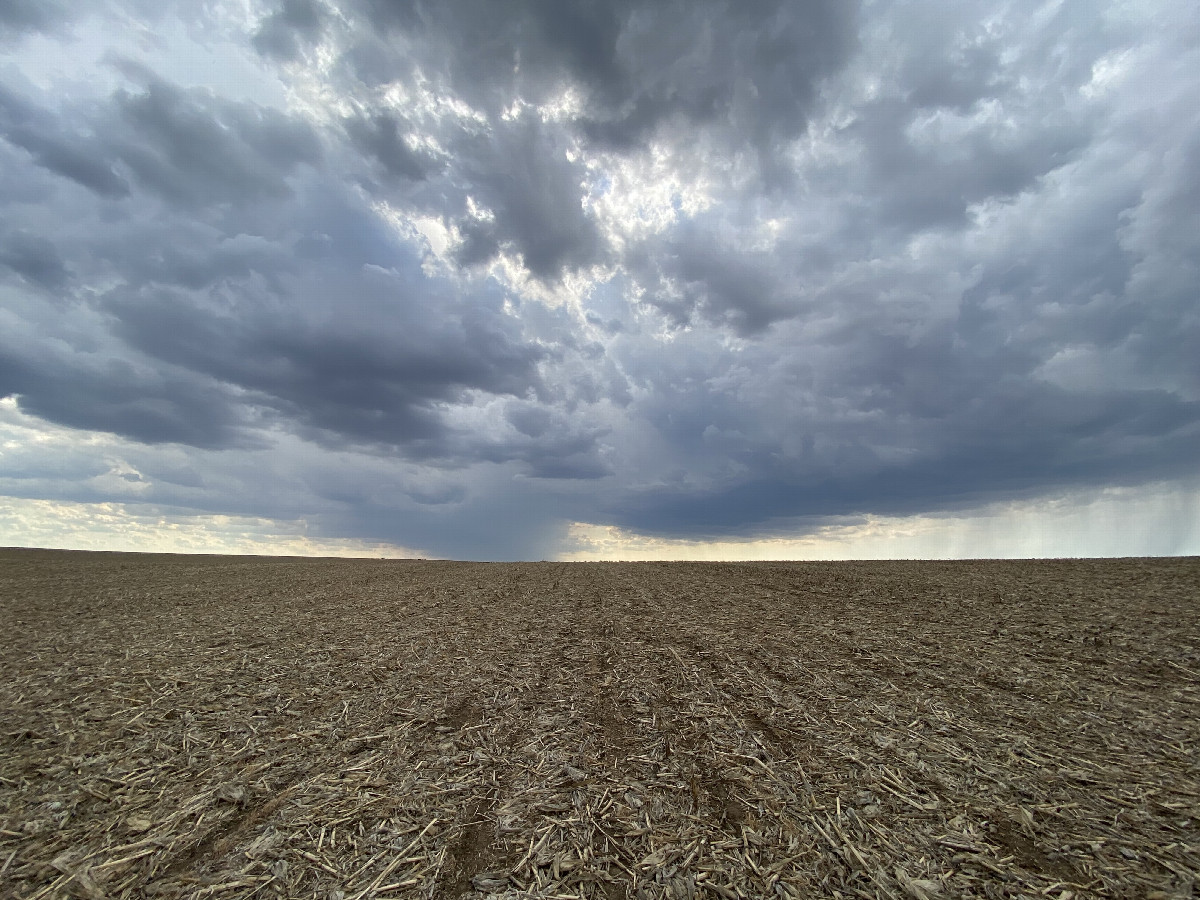 View to the west from the confluence point. Look at that sky! 