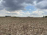 #6: View to the south from the confluence point. 