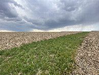 #9: Unplowed grass trail that leads almost right to the confluence from the nearest road. 