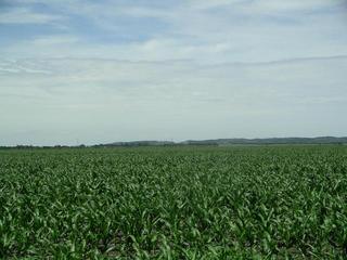 #1: looking north