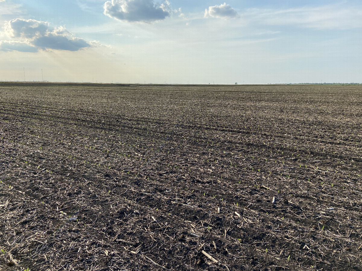 The site of 42 North 96 West, in the foreground, looking northwest.