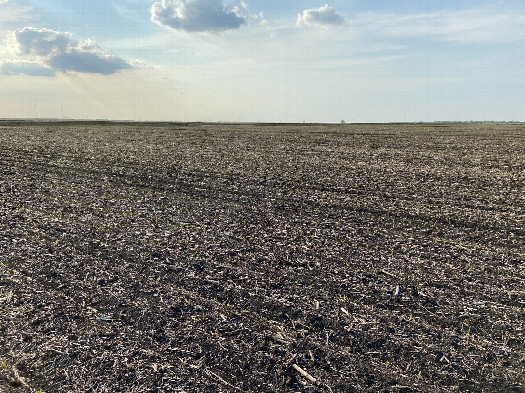 #1: The site of 42 North 96 West, in the foreground, looking northwest.