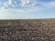 #4: View to the north from the confluence point. 