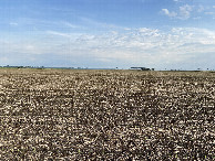 #6: View to the south from the confluence point. 