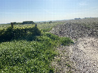 #10: View to the east from the nearest road. The confluence lies past the small line of trees on the left.