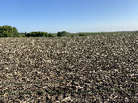 #2: View to the north from the confluence point. 