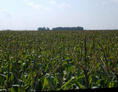 #3: The view toward the west.