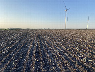 #2: View to the north from the confluence point.