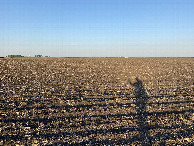 #3: View to the east from the confluence point. 