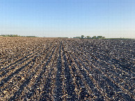 #4: View to the south from the confluence point. 