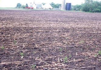 #1: Nearest buildings, about 1/4 mile to the SW. eMap showing exact confluence point is at bottom center on the ground.