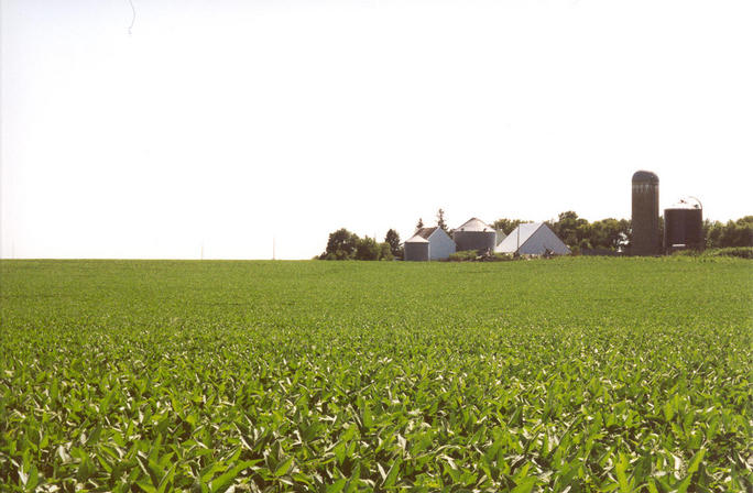 Looking South from confluence toward farm buildings.