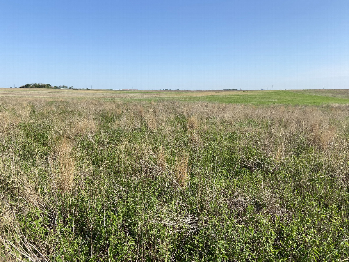 Looking south from the confluence point. 