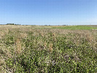 #4: Looking south from the confluence point. 