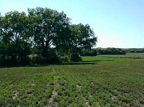 #1: View from the confluence looking west