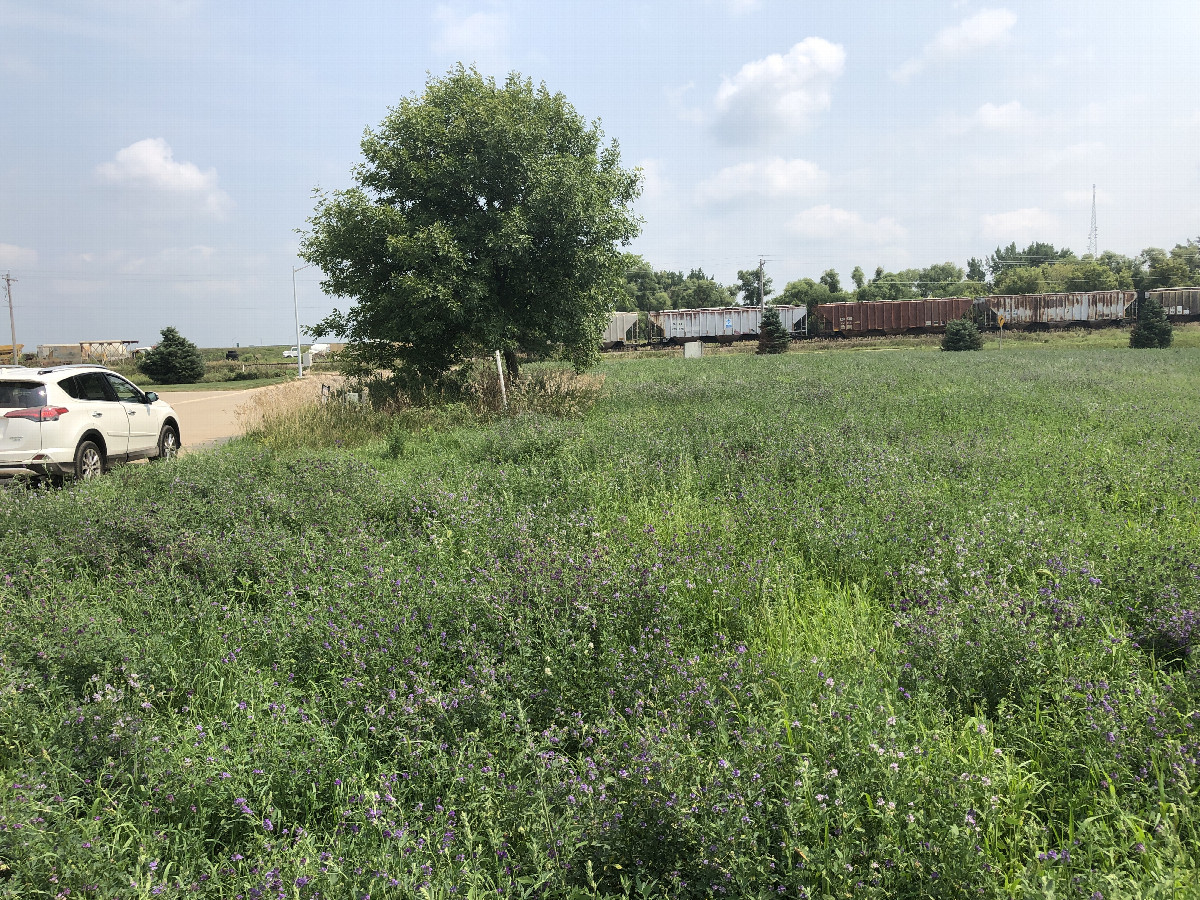 Looking South from 43N 96W