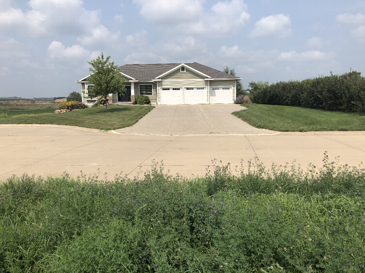 DCP 43 degrees north, 96 degrees west (visit 3) Picture 3