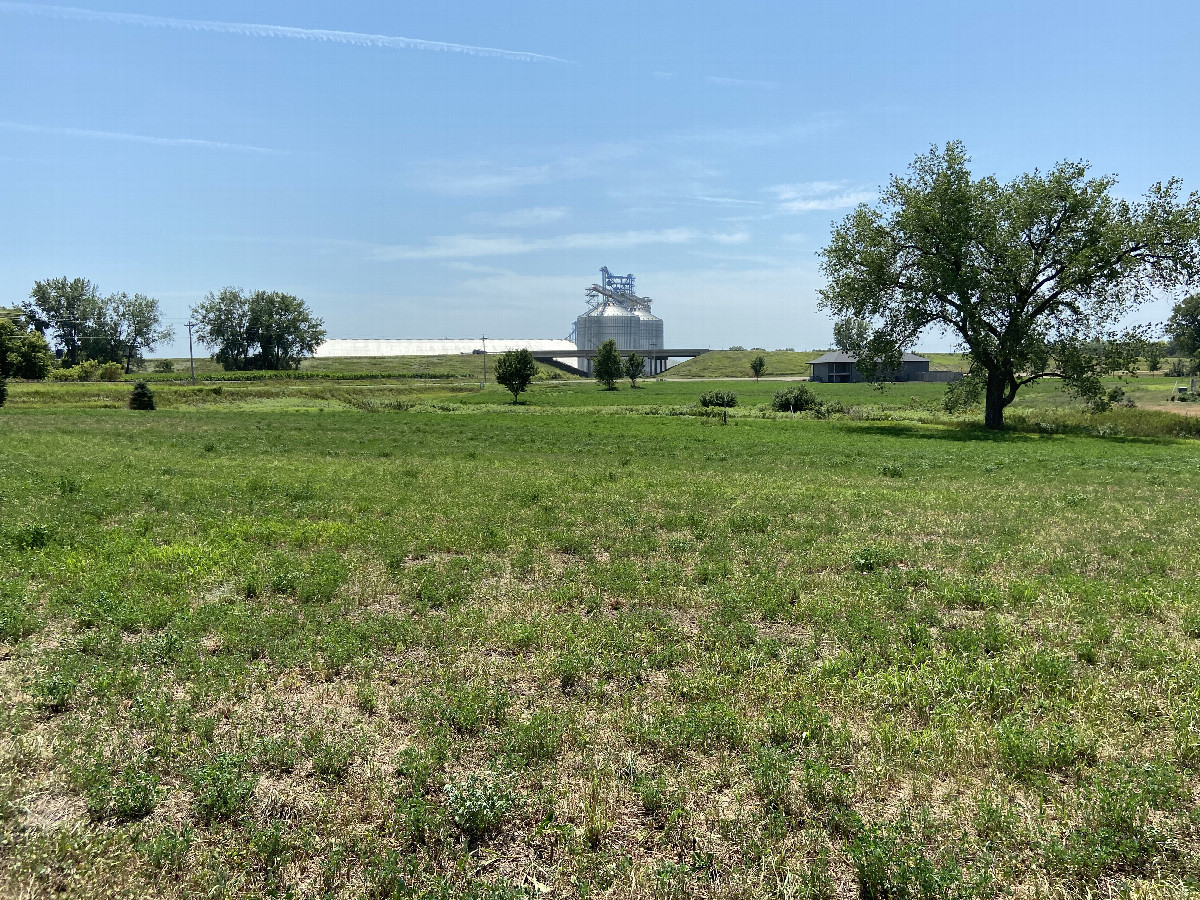 View to the south from the confluence point. 