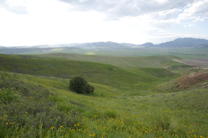 View West (down the steep hillside, towards the surrounding farmland)