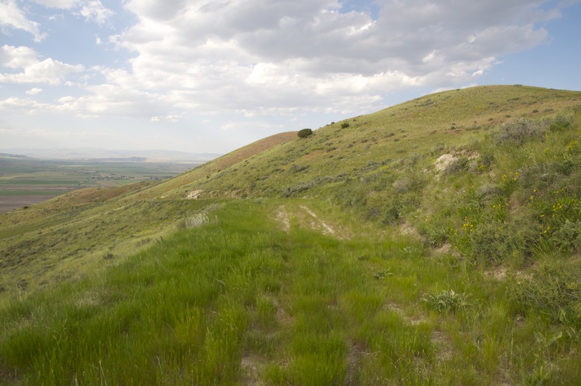 Looking north along the dirt road that passes just 260 feet from the confluence point