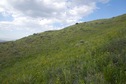#2: View North (along the hillside)