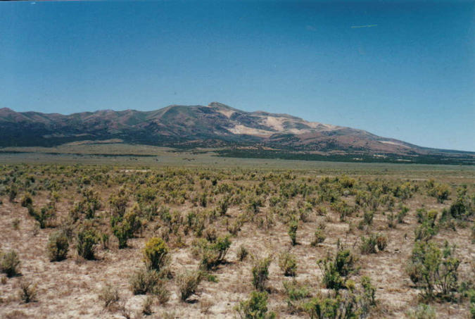 Looking Northwest from Confluence