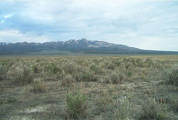 Black Pine Mountain from the confluence