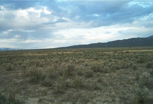 Looking West from the Confluence