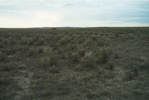 Looking South From Confluence