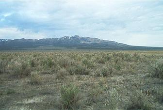 #1: Black Pine Mountain from the confluence