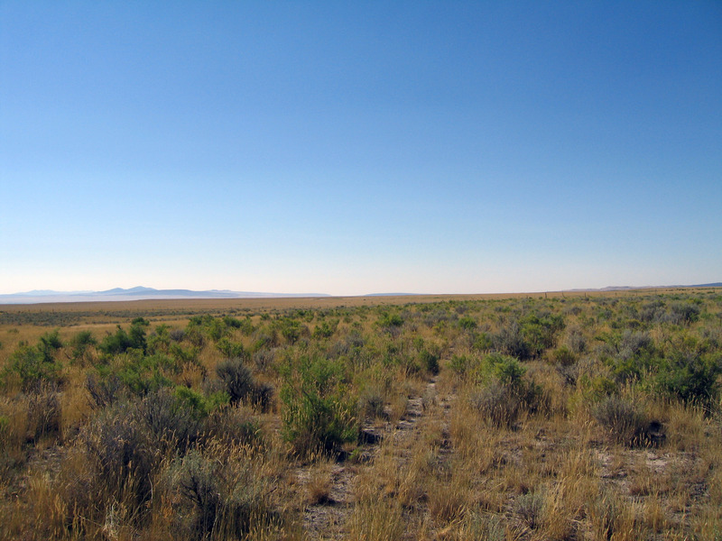 View South