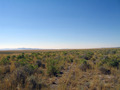 #3: View South