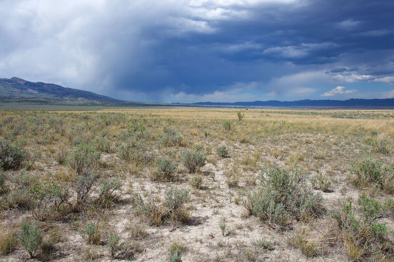 The confluence point lies in arid ranchland in far southern Idaho.  (This is also a view to the North)