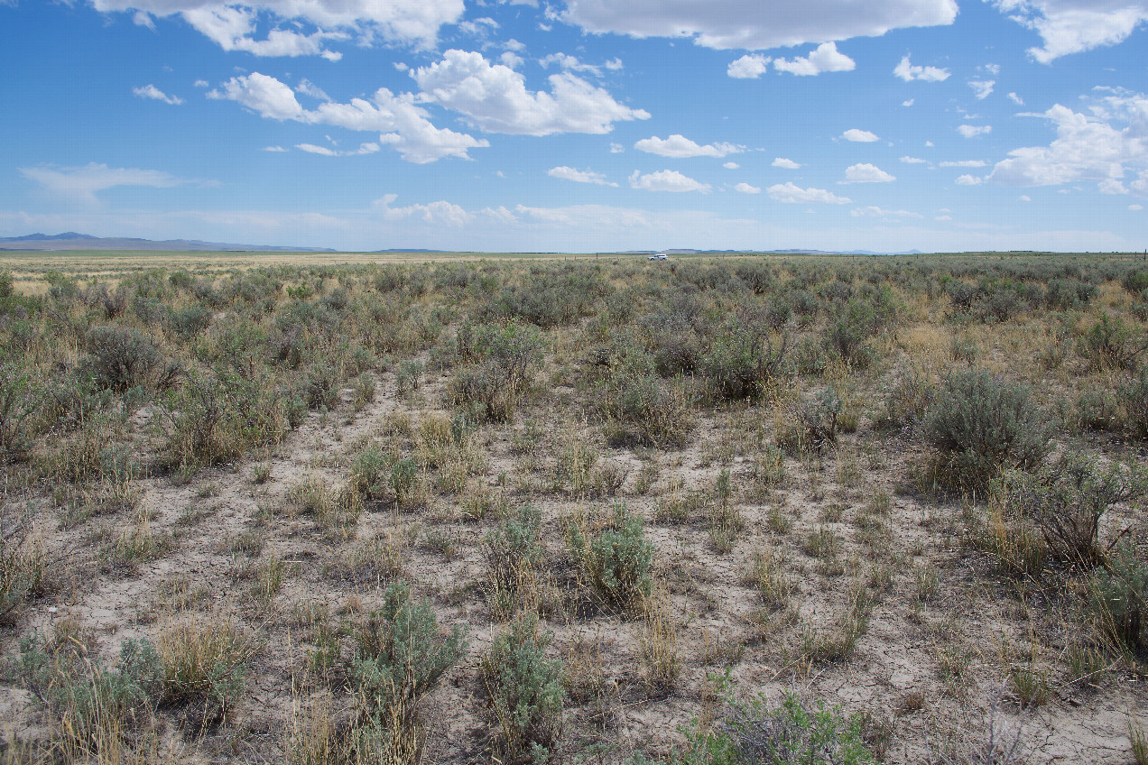 View South (towards the Utah state line, 200m away)