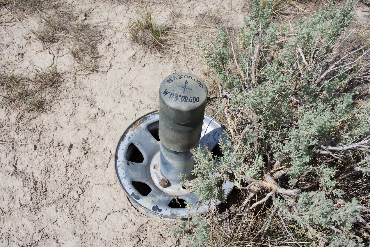 Ground cover at the confluence point