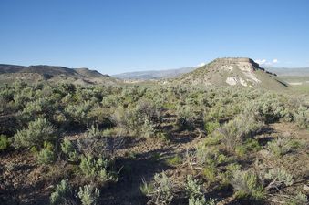 #1: The confluence point lies atop a sagebrush-covered ridge.  (This is also a view to the North.)