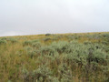 #4: View East