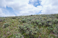 #3: View East