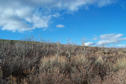 #5: View northwest