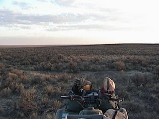 #1: view looking south from the confluence of 42N117W