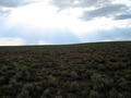 #4: View West