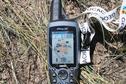 #5: GPS and ground cover