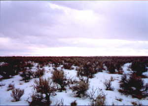 #1: View south from confluence