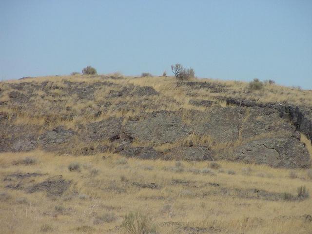 Looking north from 43N 114W